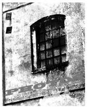Barn Doors: Photos