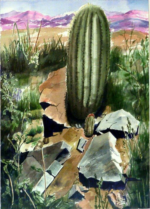 cactus.jpg