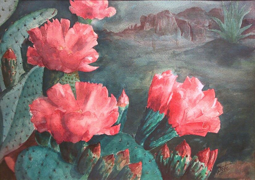 cactus_flowers.jpg