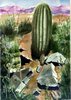cactus.jpg