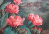cactus_flowers.jpg
