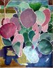 colorful_Cactus.jpg