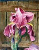 iris.jpg