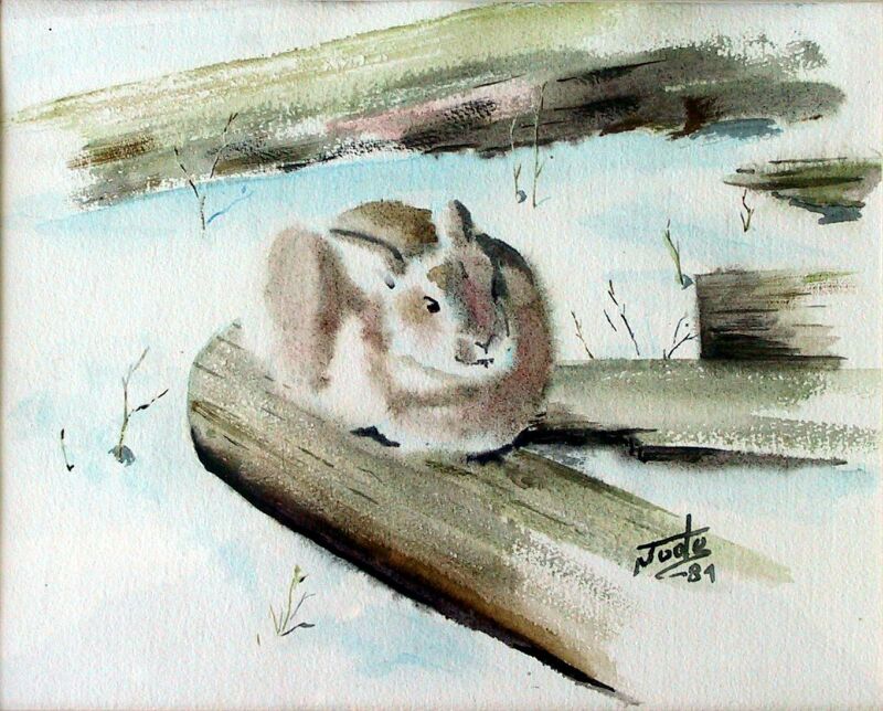rabbit.jpg